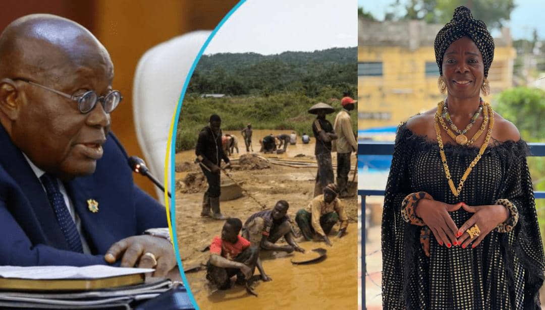 Mama Africa 1: Ghanaian-German Entrepreneur Takes On Galamsey; Challenges Govt To Let Her Handle The Battle 