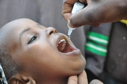 1,042,361 Children Under 5yrs Targeted To Be Vaccinated Against Polio – Ash. Reg. Health Director.